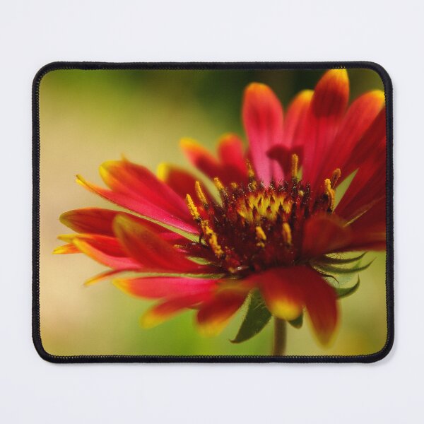 Item preview, Today..... designed and sold by Vicki Pelham.