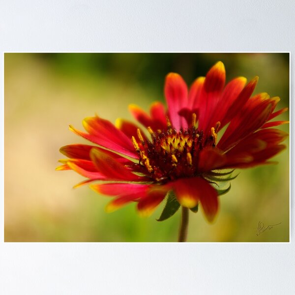 Item preview, Today..... designed and sold by Vicki Pelham.