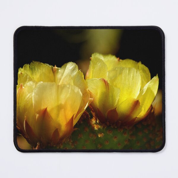 Item preview, Kissed by the Sun designed and sold by Vicki Pelham.