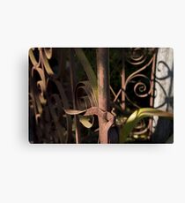 Rusty old romantic metal gate Canvas Print