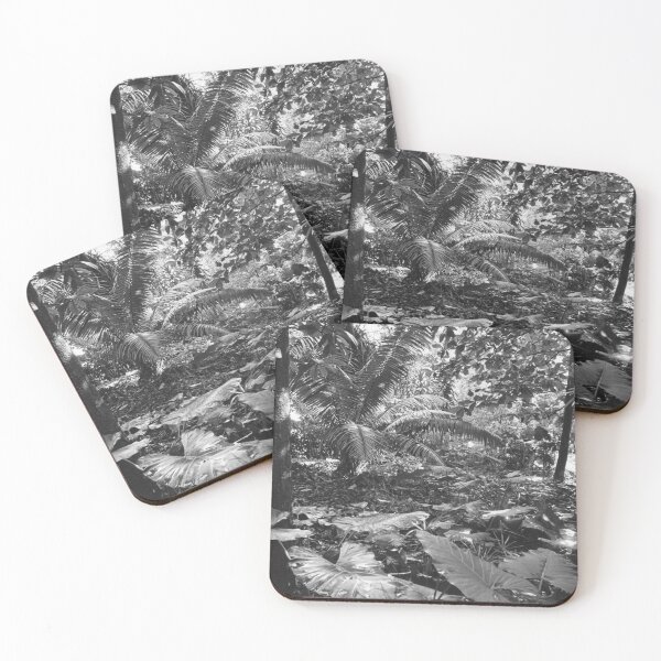 Item preview, Vintage photo of Amazon Rainforest designed and sold by JerryFrank.
