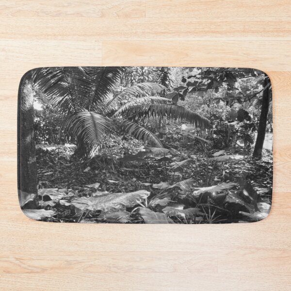 Item preview, Vintage photo of Amazon Rainforest designed and sold by JerryFrank.