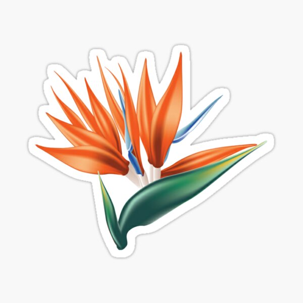 Regalos y productos: Flor De Ave Del Para%c3%adso | Redbubble