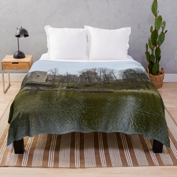 Item preview, The pond and ruins of medieval castle designed and sold by lena-maximova.