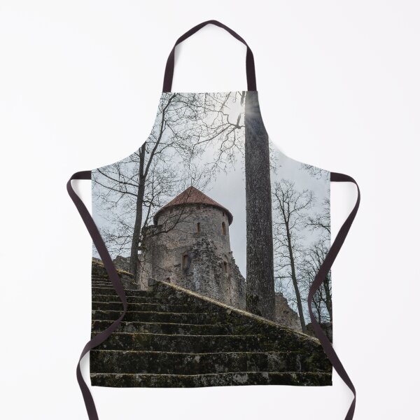 Item preview, Ruins and stairs of medieval castle in Cesis, Latvia designed and sold by lena-maximova.