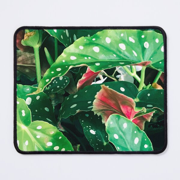 Item preview, Beautiful Lush Leaves With Exotic White Spots  designed and sold by DEC02.