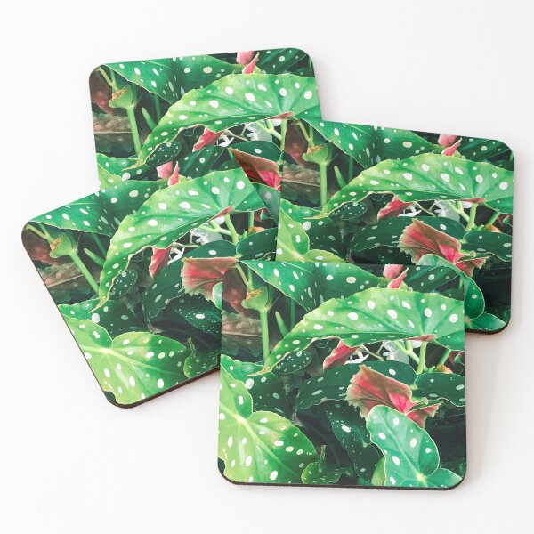 Item preview, Beautiful Lush Leaves With Exotic White Spots  designed and sold by DEC02.