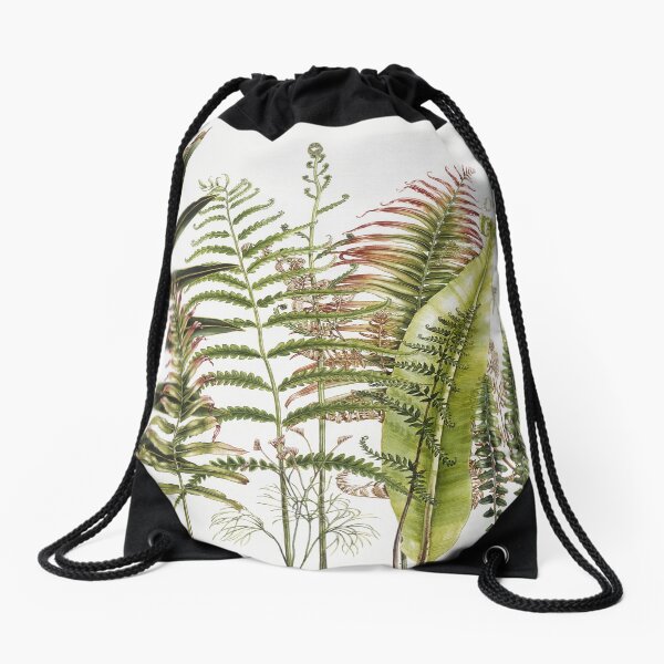 Item preview, Australian Ferns designed and sold by DrawingOnNature.
