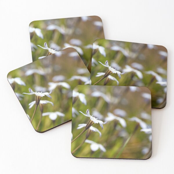 Item preview, Star White Flowers Dancing designed and sold by Joy Watson - Natural Light Photography .
