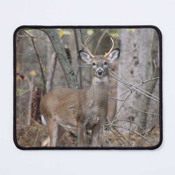 Item preview, whitetail deer designed and sold by bmiller64.