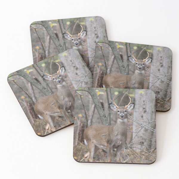Item preview, whitetail deer  designed and sold by bmiller64.