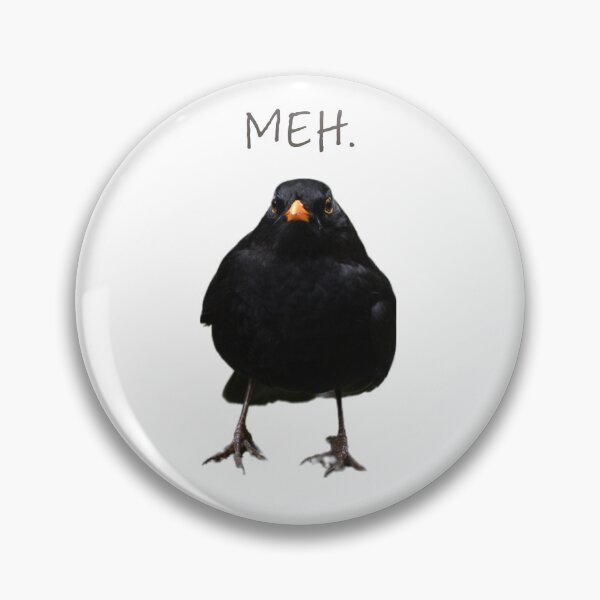Item preview, Grumpy Blackbird designed and sold by Birdfanatics.