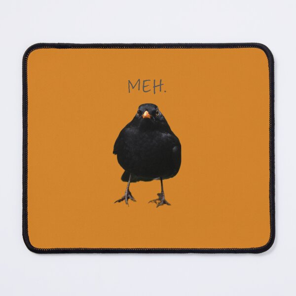 Item preview, Grumpy Blackbird designed and sold by Birdfanatics.