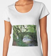 Island Bridge Women's Premium T-Shirt