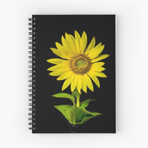 Artikelvorschau, Sonnenblume entworfen und verkauft von Apatche Revealed.