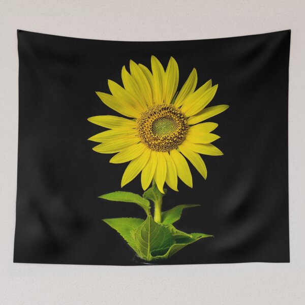Artikelvorschau, Sonnenblume entworfen und verkauft von Apatche Revealed.