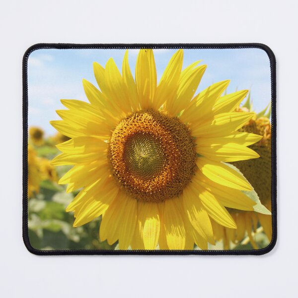 Item preview, Sunflower Standing Tall designed and sold by The Tinker Man's Daughter.