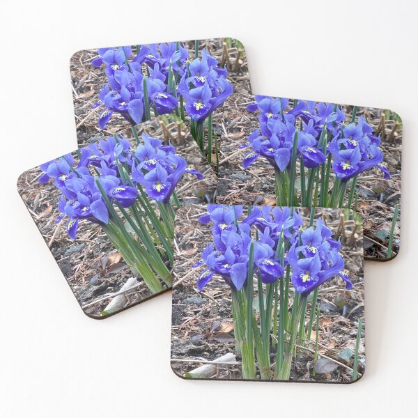 Item preview, Iris Harmony designed and sold by oksanap999.