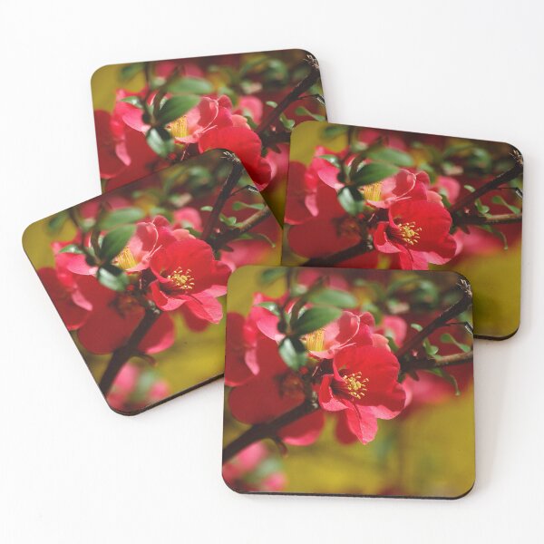 Item preview, Spring ~ Big Ditch, Silver City NM designed and sold by Vicki Pelham.