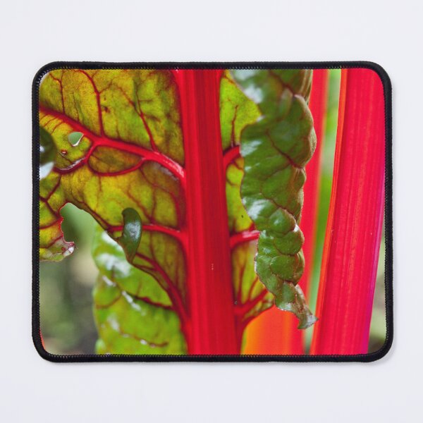 Item preview, Swiss Chard 3 designed and sold by Gabriele Maurus.