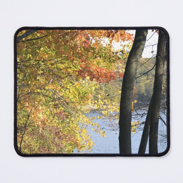 Item preview, Autumn Trees by the Lake Shore designed and sold by Kathleen Brant.