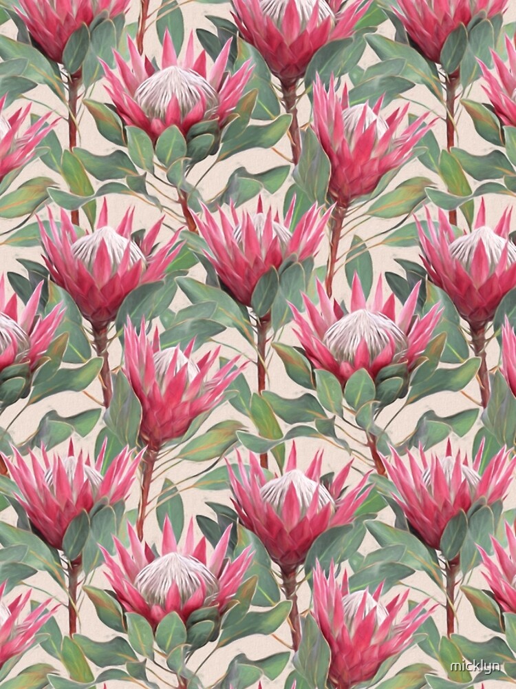 Painted King Proteas on Cream by micklyn