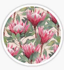 Gemalte König Proteas auf Creme Sticker