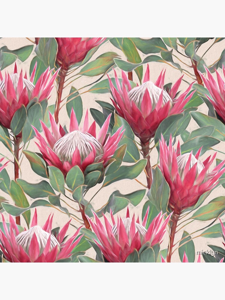 Aperçu 4 sur 4. Coussin avec l'œuvre Proteas royales peintes sur fond crème créée et vendue par micklyn.