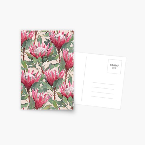 Painted King Proteas on Cream Postcard