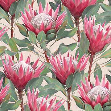 Aperçu de l'œuvre Proteas royales peintes sur fond crème de micklyn