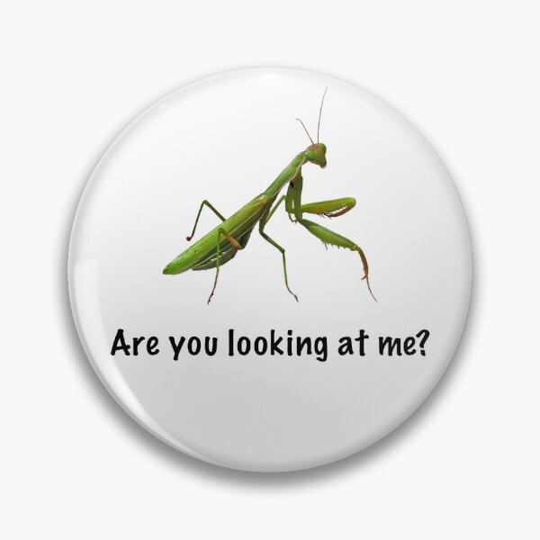 Item preview, Are you looking at me? designed and sold by FrauleinimStall.