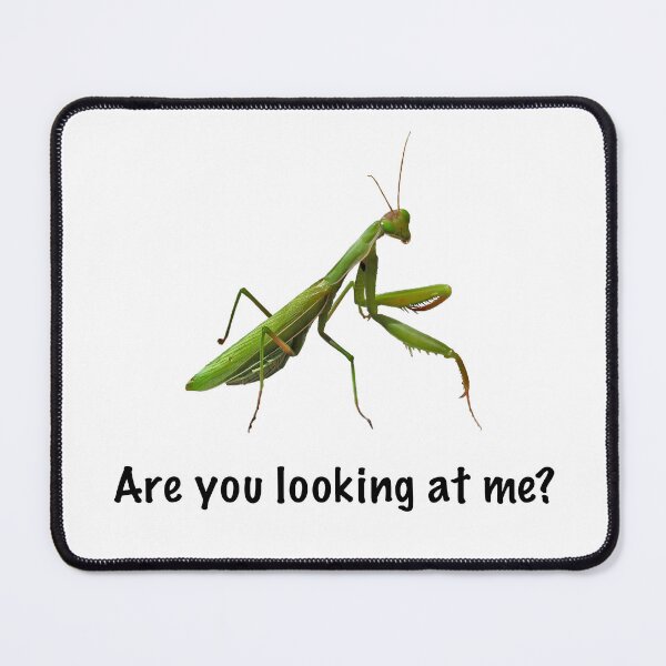 Item preview, Are you looking at me? designed and sold by FrauleinimStall.
