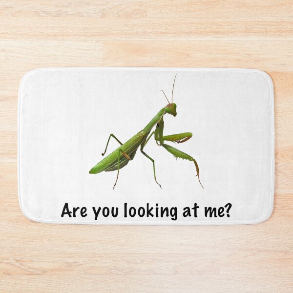 Item preview, Are you looking at me? designed and sold by FrauleinimStall.
