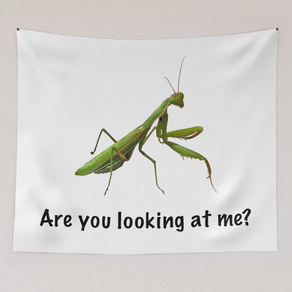 Item preview, Are you looking at me? designed and sold by FrauleinimStall.
