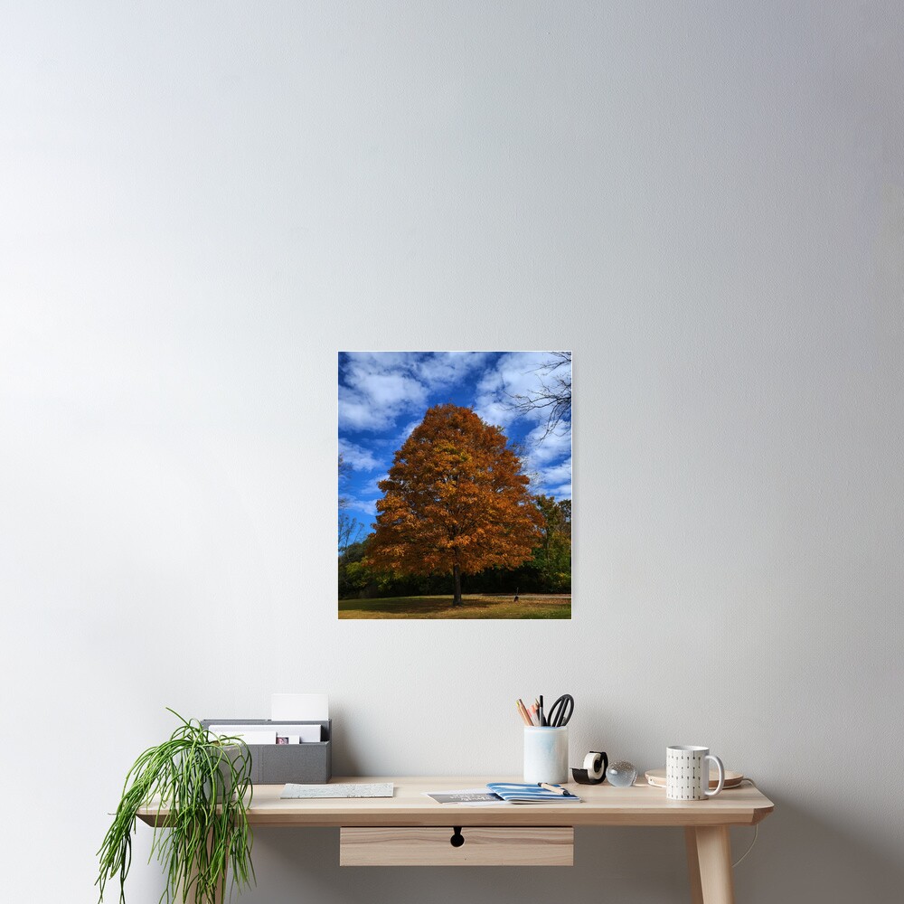 Item preview, Poster designed and sold by ELF2.