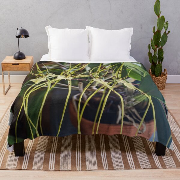 Item preview, Spider Orchid Oh My! designed and sold by alanathrower.