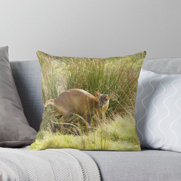 Item preview, Muntjac in Meadow designed and sold by Oppos  Community Farm.