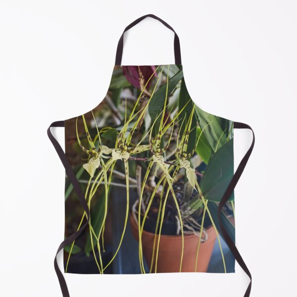 Item preview, Spider Orchid Oh My! designed and sold by alanathrower.