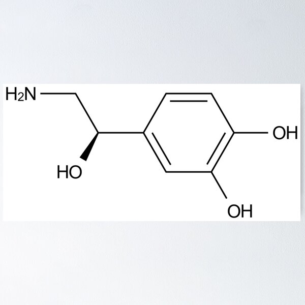Item preview, Norepinephrine chemical molecule designed and sold by Girih.