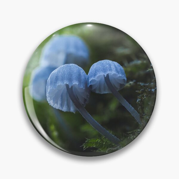 Item preview, Mycena pseudocorticola designed and sold by Ryan Dale.