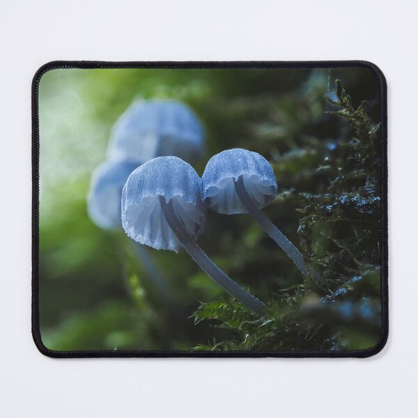 Item preview, Mycena pseudocorticola designed and sold by Ryan Dale.