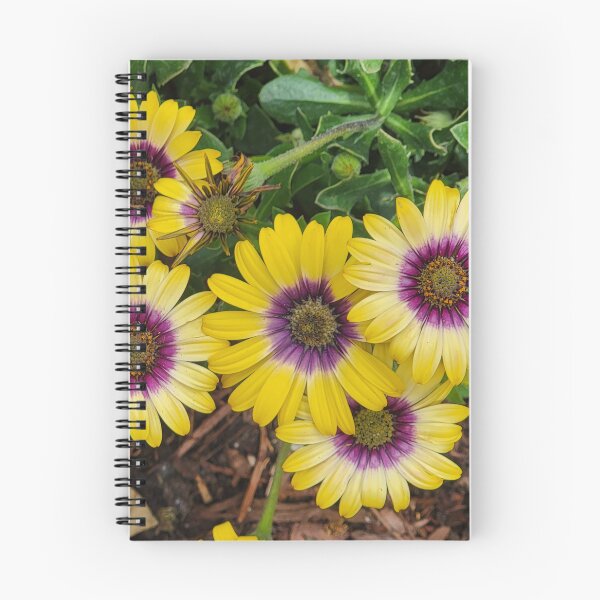 Item preview, African Daisy designed and sold by EyeOfDelight.