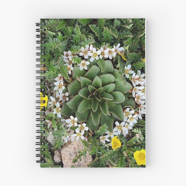 Item preview, Succulent Plant designed and sold by EyeOfDelight.