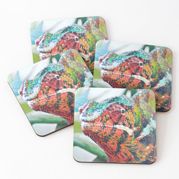 Item preview, Chameleon Portrait Photo designed and sold by WildlifePics56.