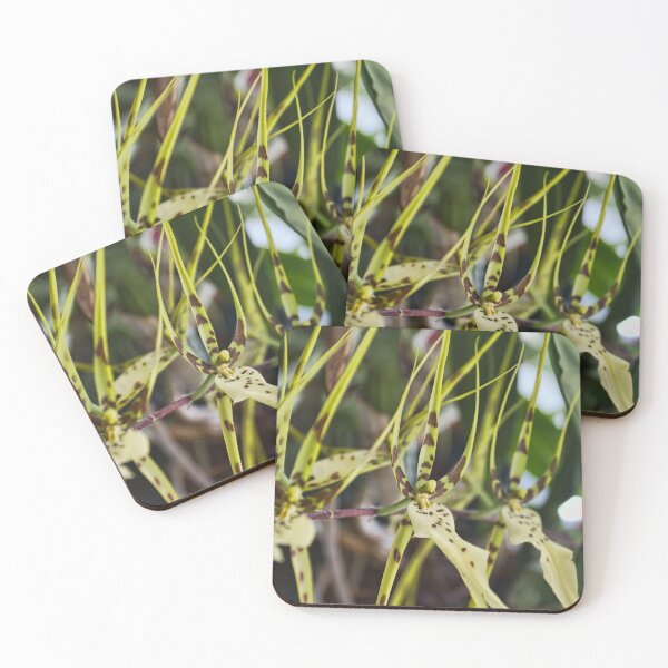 Item preview, Orchid Row designed and sold by alanathrower.