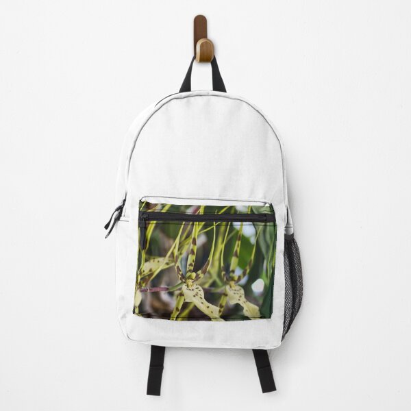 Item preview, Orchid Row designed and sold by alanathrower.