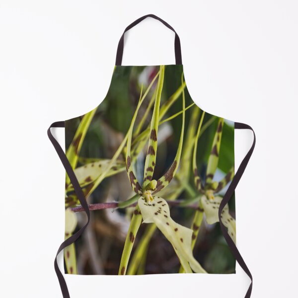 Item preview, Orchid Row designed and sold by alanathrower.