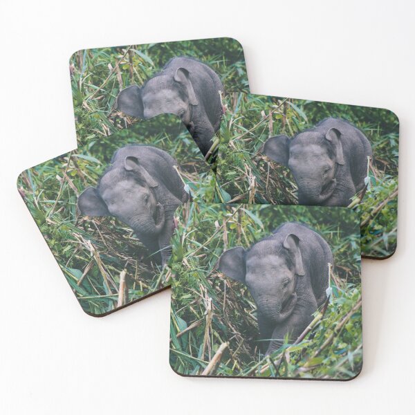 Item preview, Baby Asian Elephant Photo designed and sold by WildlifePics56.
