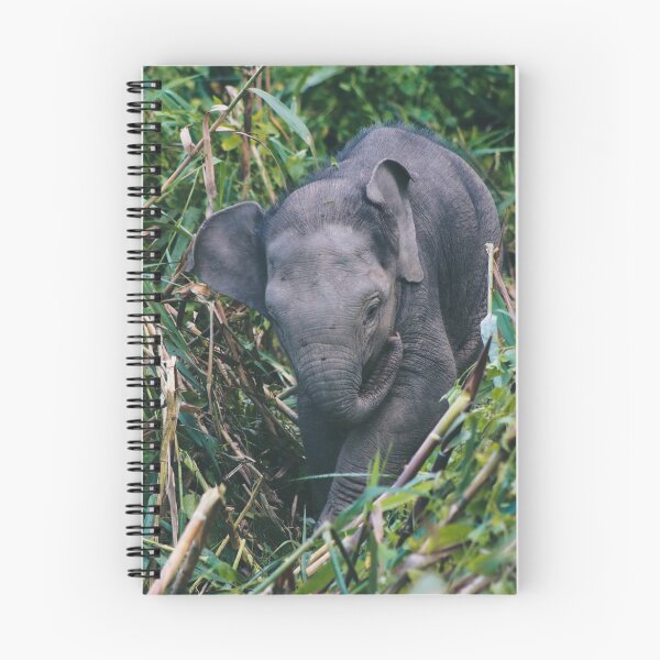 Item preview, Baby Asian Elephant Photo designed and sold by WildlifePics56.
