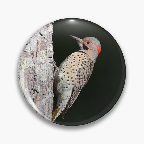 Item preview, Northern Flicker on a Tree designed and sold by LisaNaturePhoto.